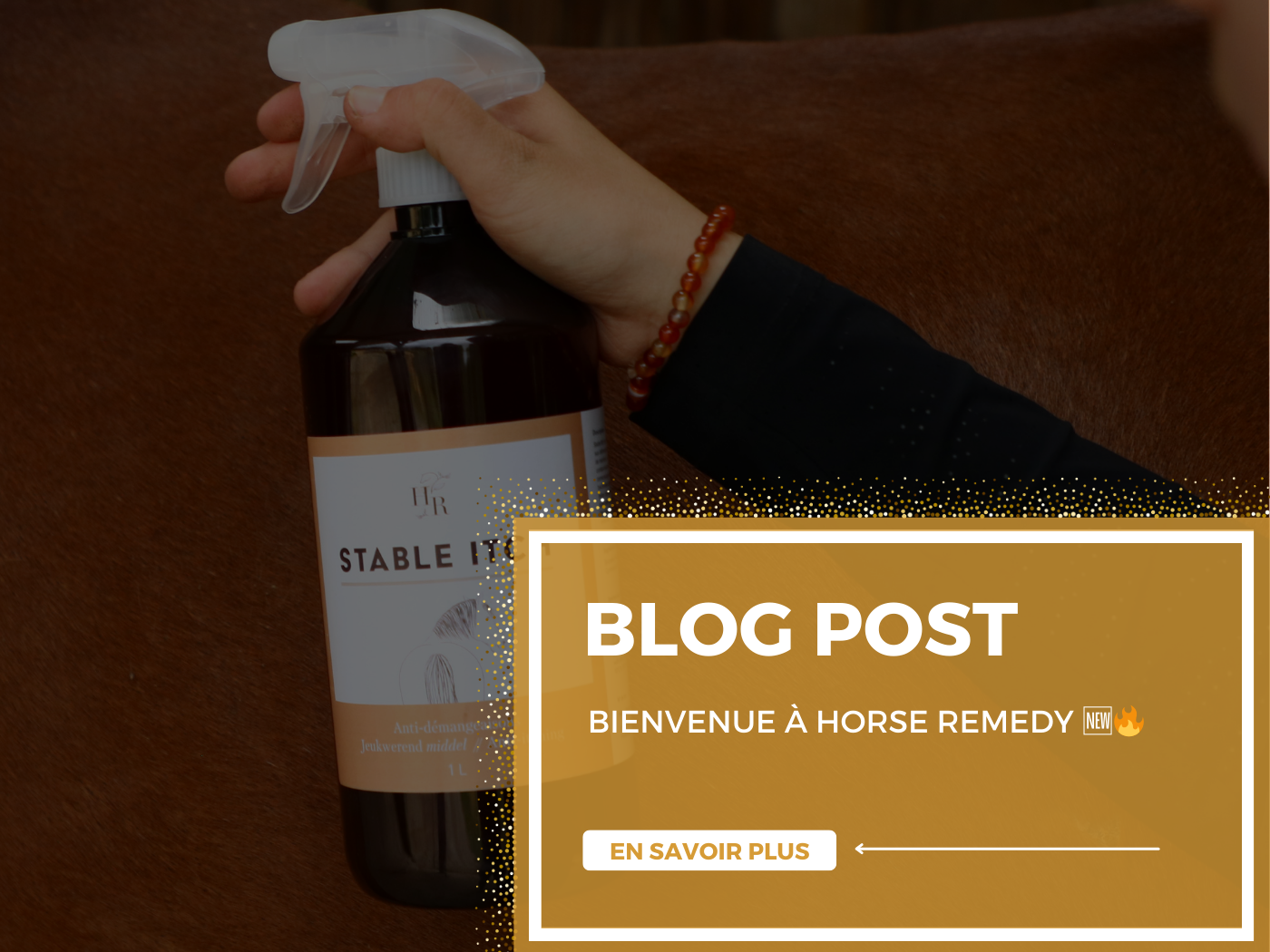 BIENVENUE À HORSE REMEDY 🆕🔥