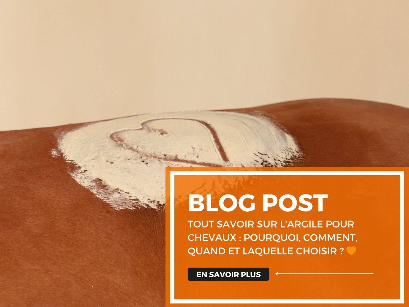 Tout savoir sur l'argile pour chevaux : pourquoi, comment, quand et laquelle choisir ? 🧡