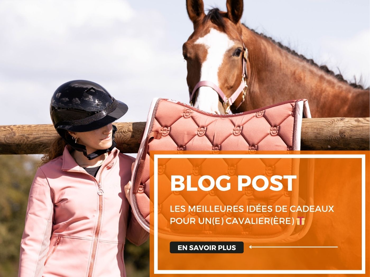 Les meilleures idées de cadeaux pour un(e) cavalier(ère) 🎁