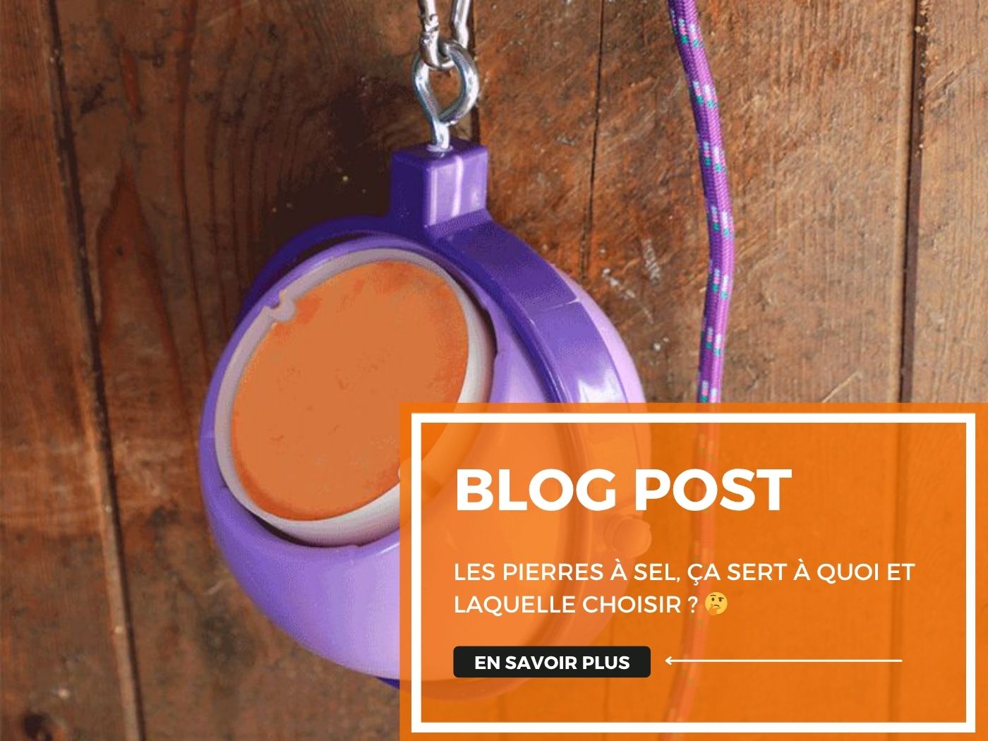 Article de blog, conseils et utilisation d'une pierre à sel