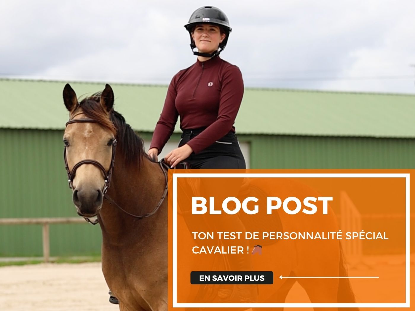 Ton test de personnalité spécial cavalier ! 🐴