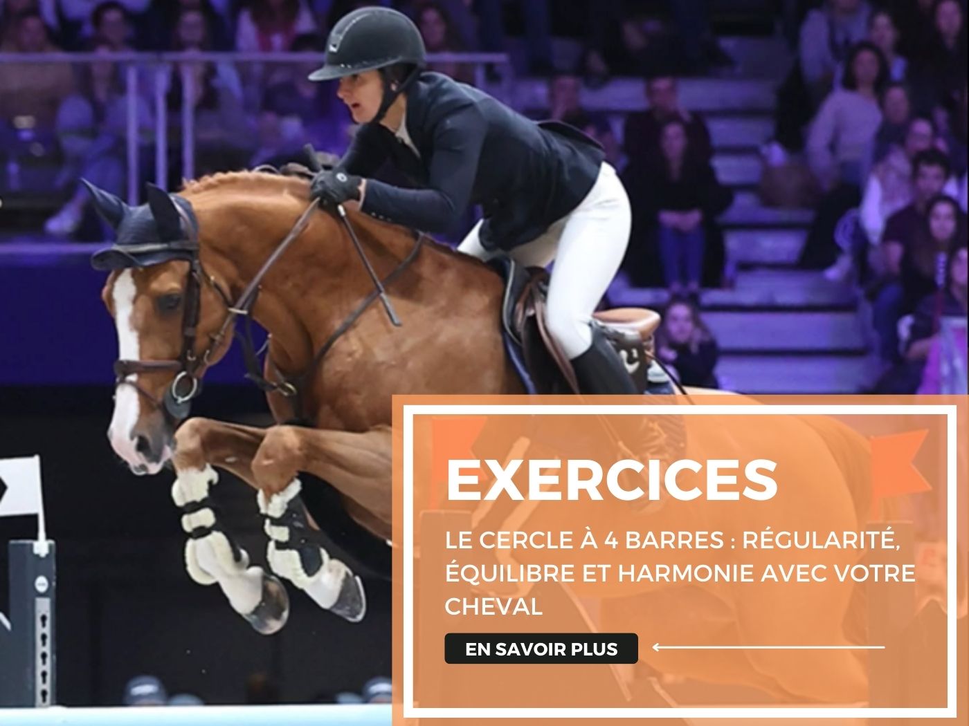 Exercice du cercle à 4 barres : régularité, équilibre et harmonie avec votre cheval