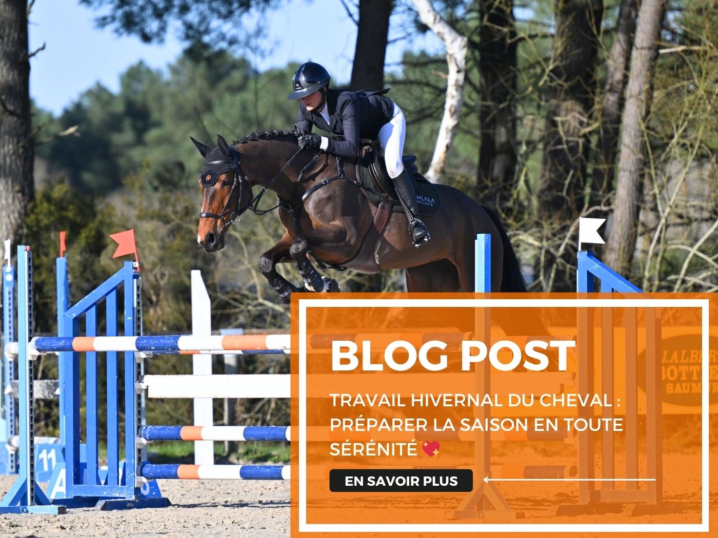 Le travail hivernal 💪