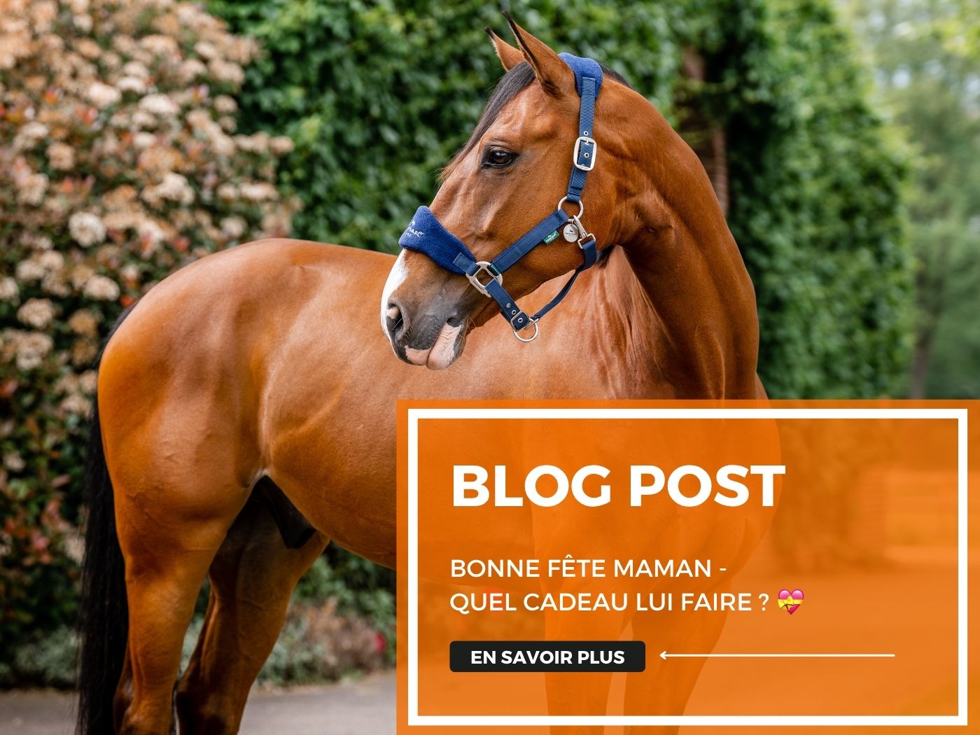 Bonne fête maman - Quel cadeau lui faire ? 💝