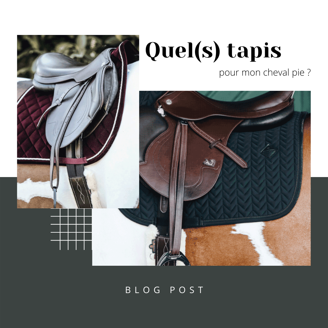 QUEL TAPIS POUR MON CHEVAL PIE ?