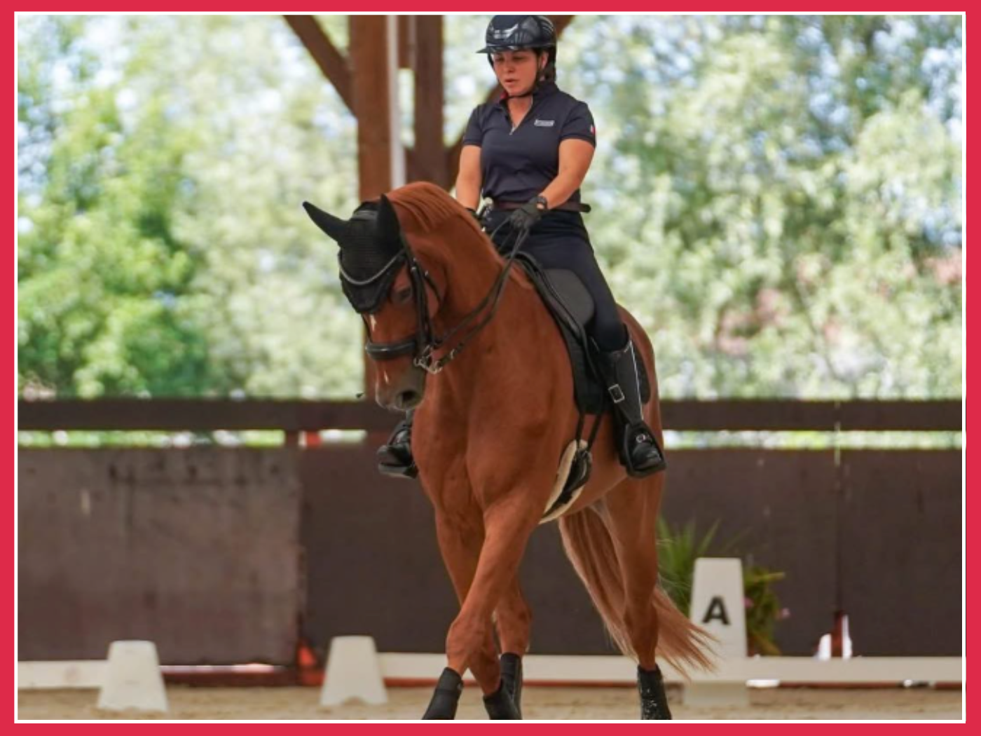 Les trois piliers de l’harmonie à cheval : la technique, le mental et le physique 🔥