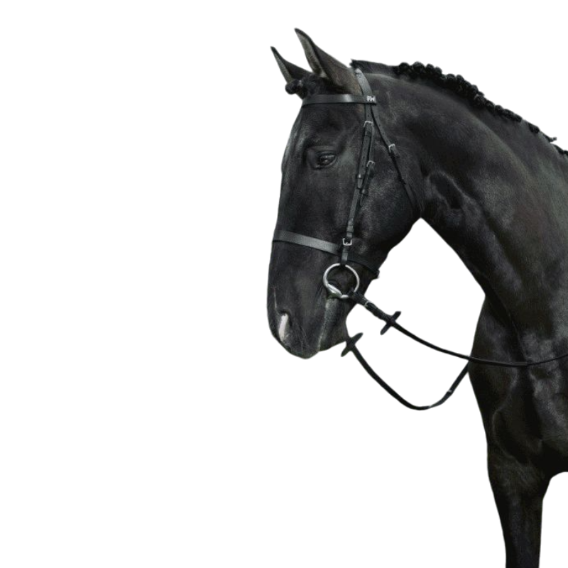 Riding World - Bridon muserolle française noir avec rênes | - Ohlala