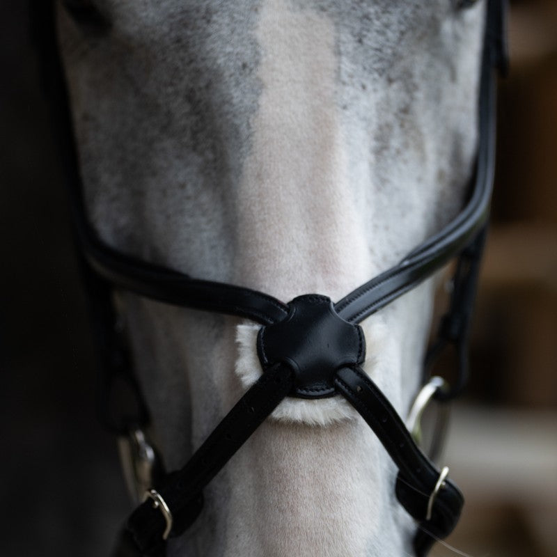 Jump'In - Muserolle croisée Evolution noir