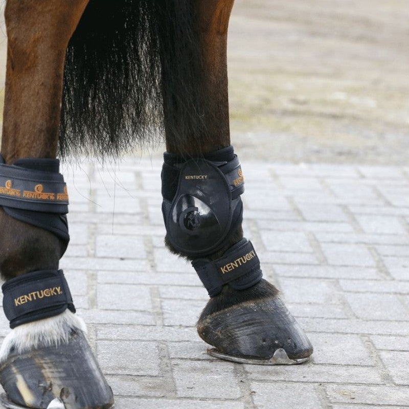 Kentucky Horsewear - Protège-paturons | - Ohlala