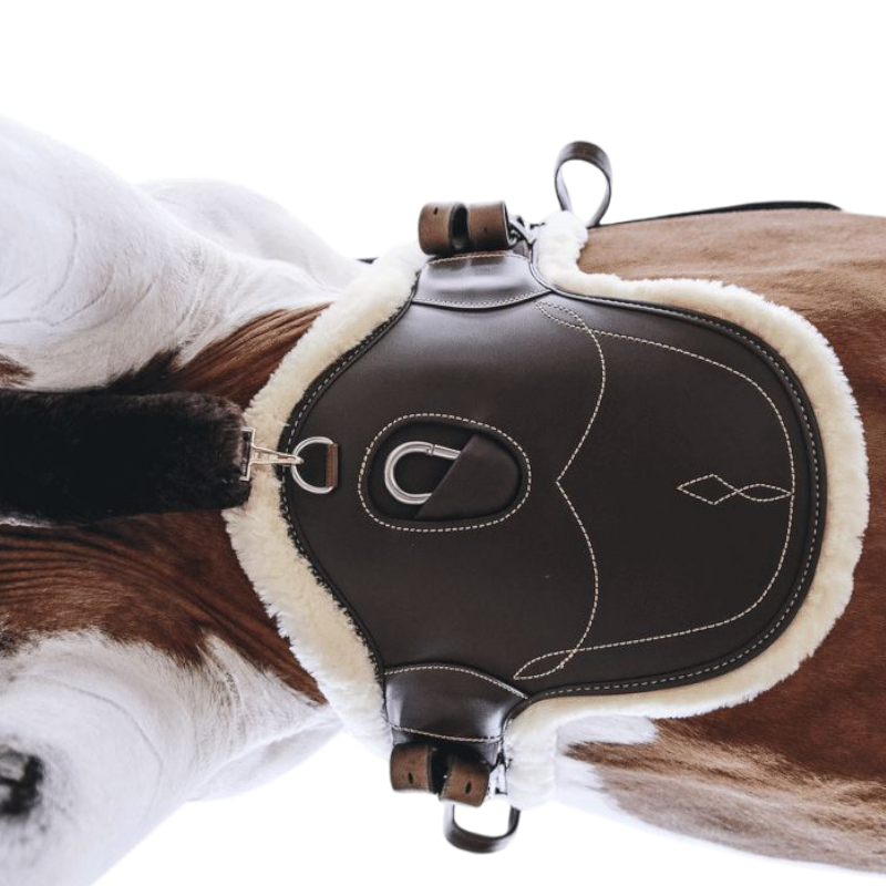 Kentucky Horsewear - Sangle bavette courte mouton marron | - Ohlala