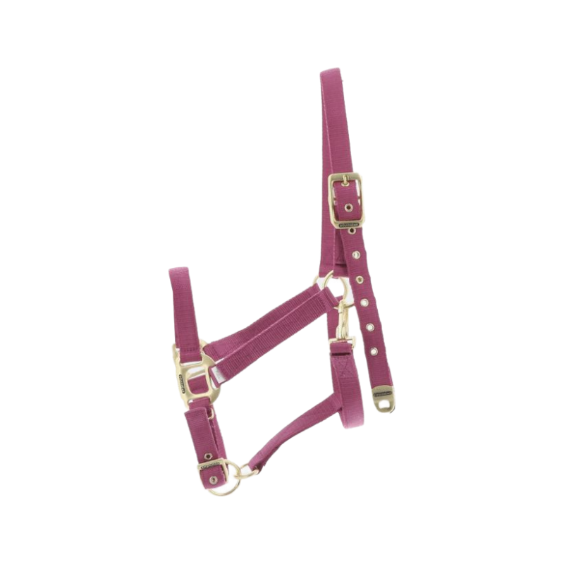 Equithème - Licol Nylon fuchsia | - Ohlala