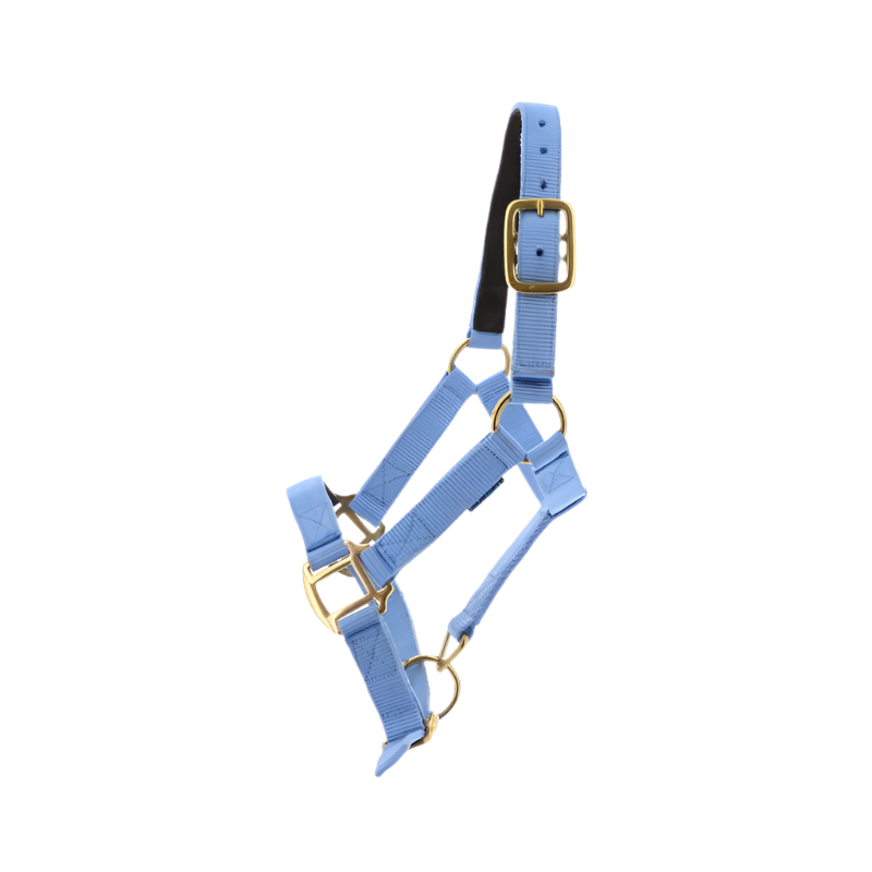 Norton - Licol shetland nylon doublé cuir bleu ciel | - Ohlala