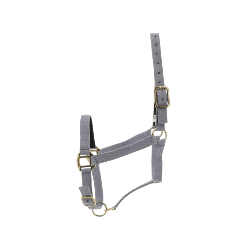 Norton - Licol nylon doublé cuir gris clair | - Ohlala