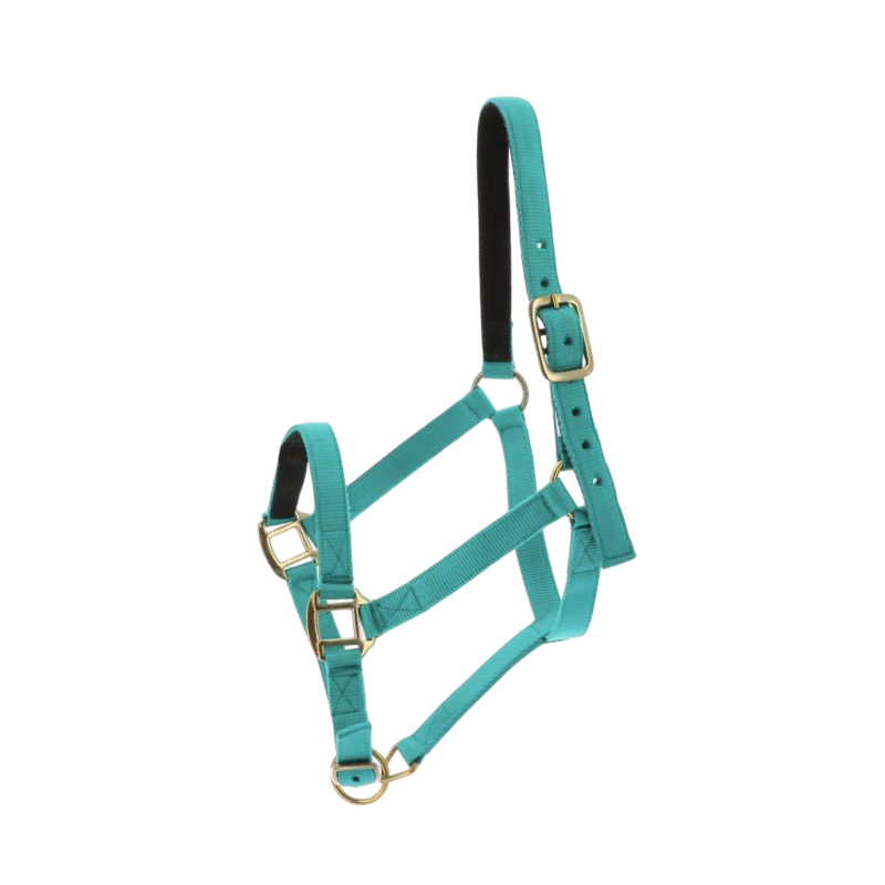 Norton - Licol nylon doublé cuir turquoise | - Ohlala