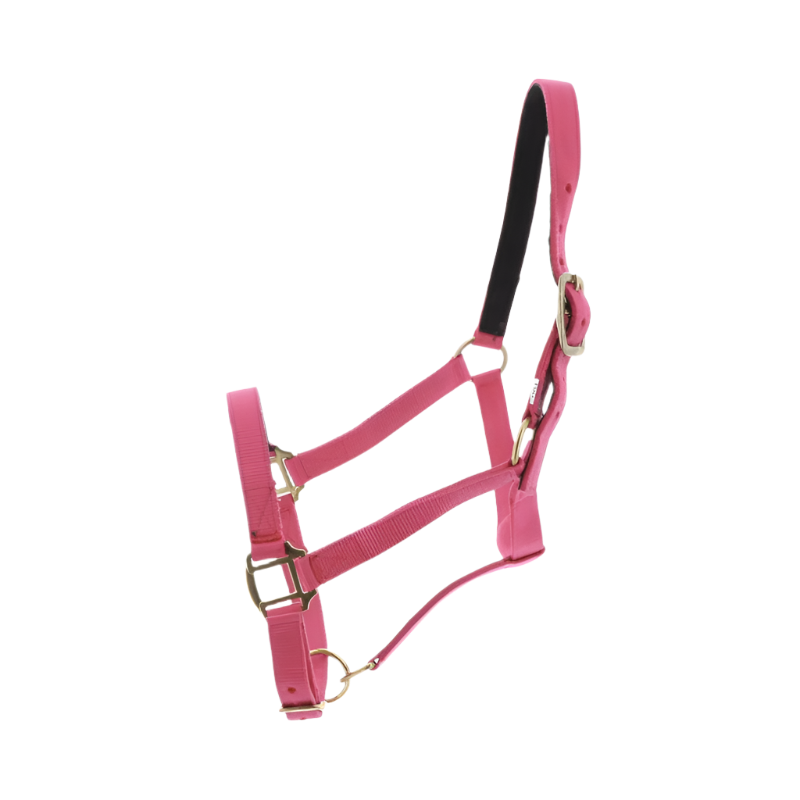 Norton - Licol nylon doublé cuir fuchsia | - Ohlala