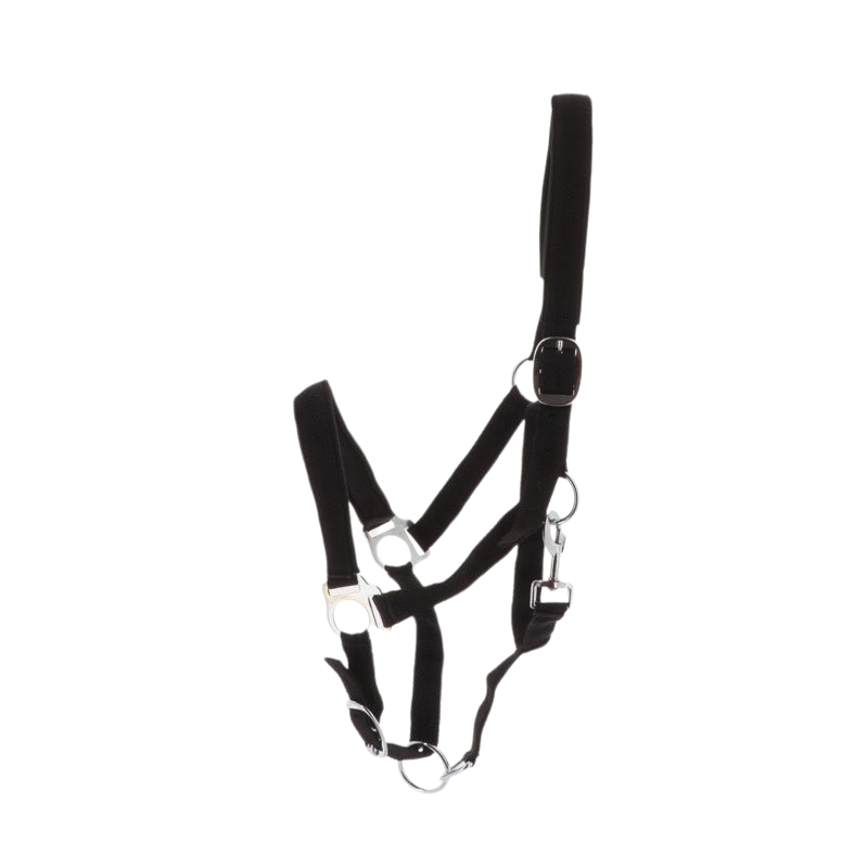 Norton - Licol nylon doublé néoprène noir | - Ohlala