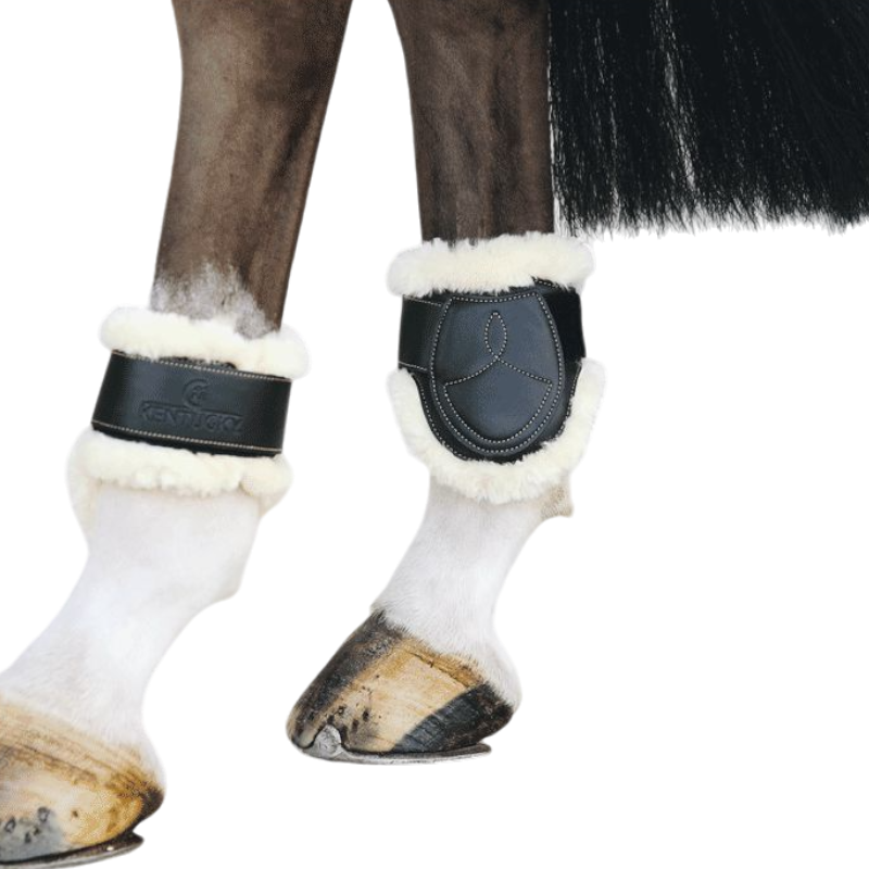 Kentucky Horsewear - Protège-boulets cuir mouton noir | - Ohlala