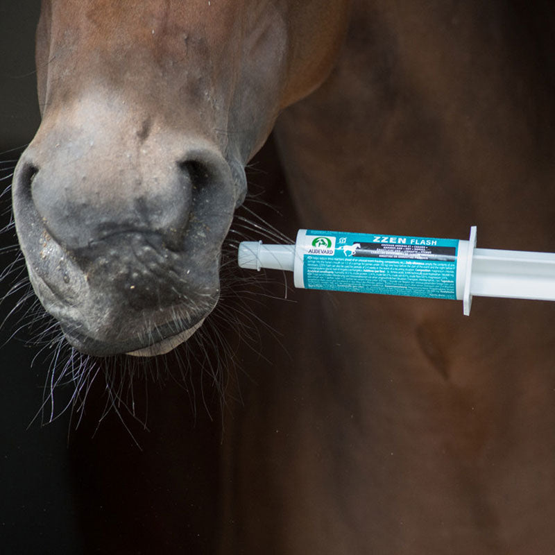 Audevard - Complément alimentaire seringue chevaux anxieux et « chauds » Zzen Flash