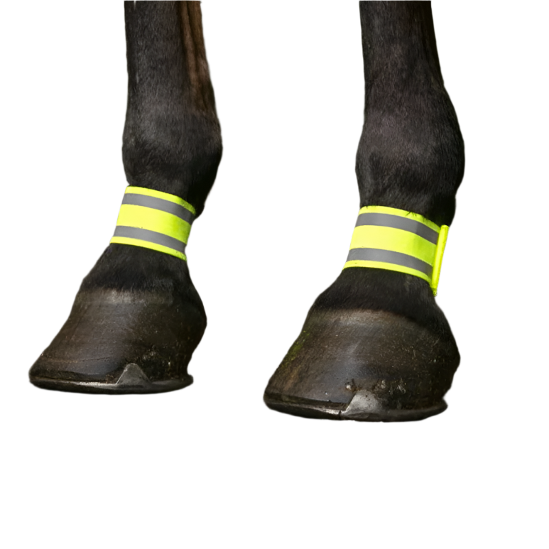 Norton - Bandages antérieurs jaune fluo | - Ohlala