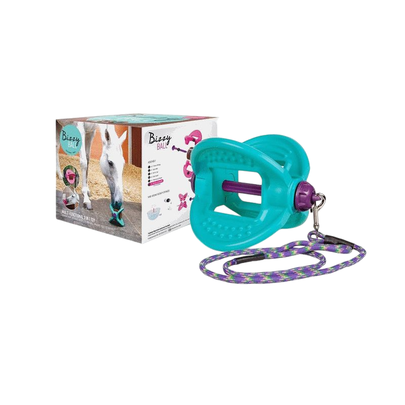 Bizzy Horse - Support de pierre divertissant Bizzy ball bleu | - Ohlala