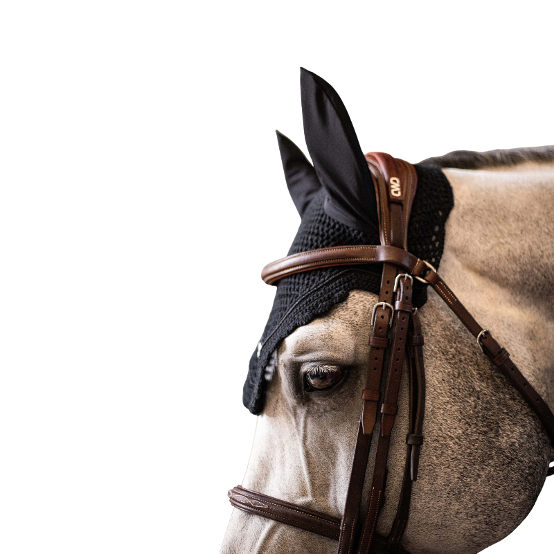 Samshield - Bonnet pour chevaux Embroidery noir