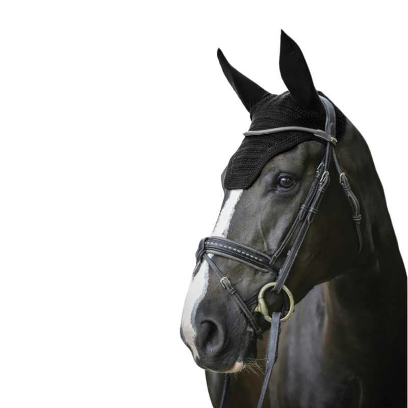 Paddock Sports - Bonnet pro coton noir | - Ohlala