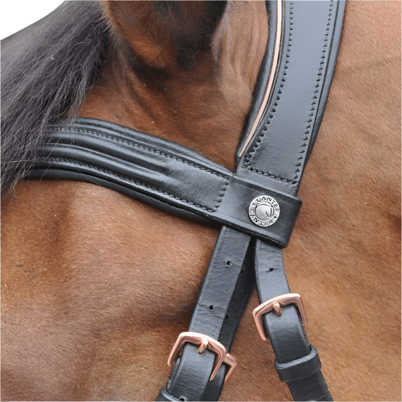 Canter - Bridon rose gold avec rênes noir | - Ohlala