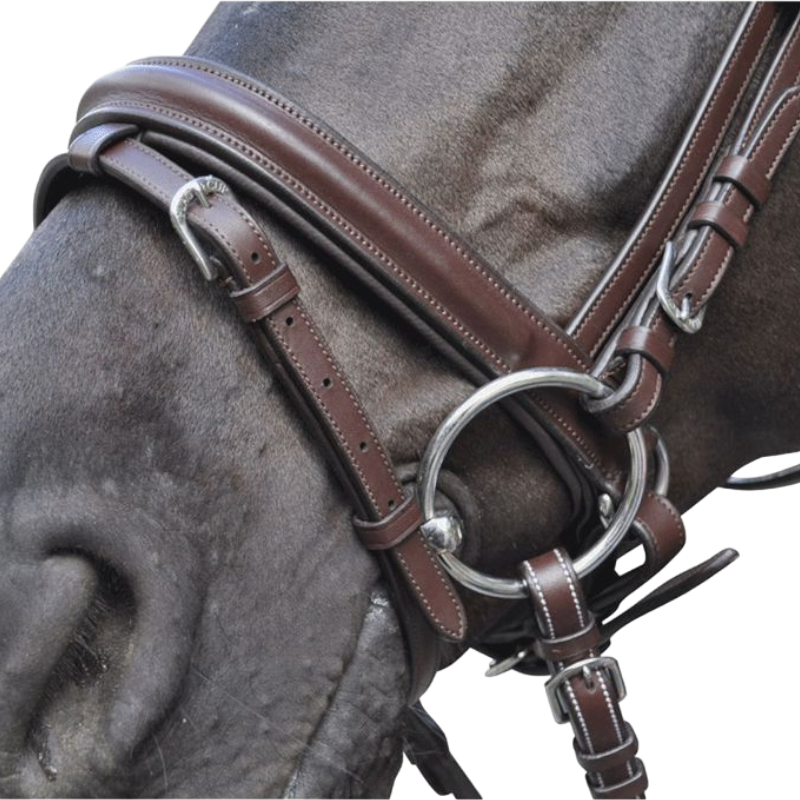 Flags & Cup - Bridon Hickstead avec rênes marron | - Ohlala