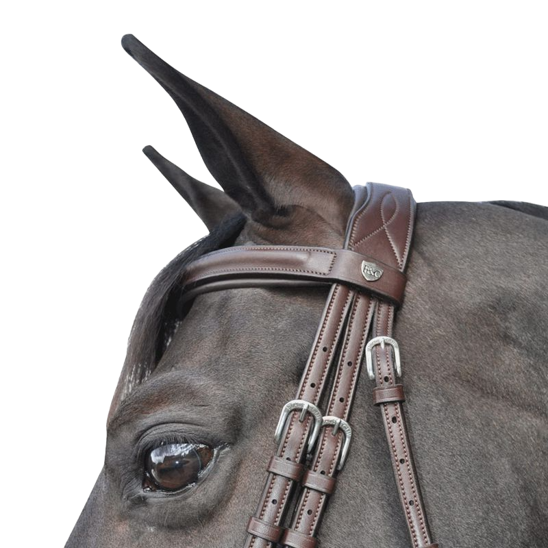 Flags & Cup - Bridon Hickstead avec rênes marron | - Ohlala