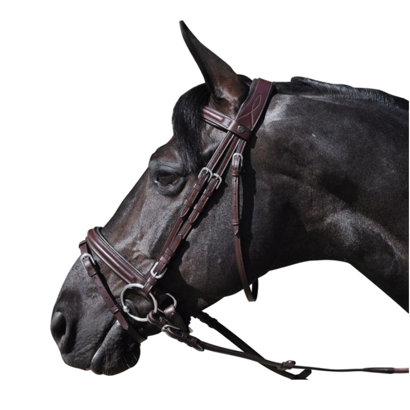Flags & Cup - Bridon Hickstead avec rênes marron | - Ohlala