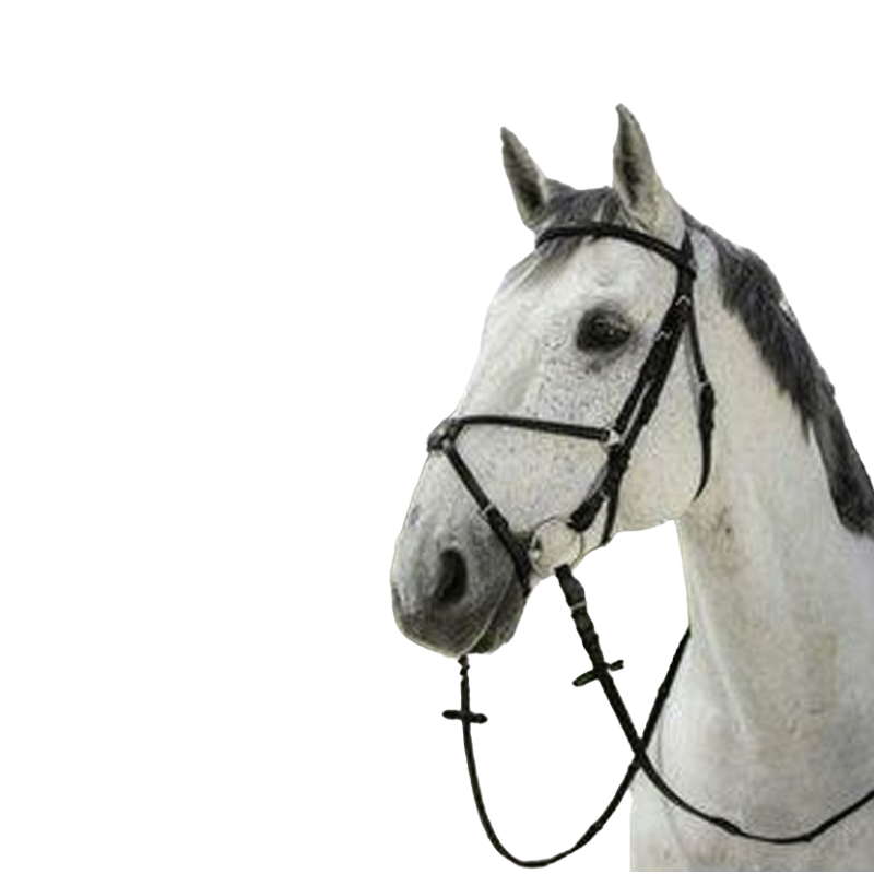 Riding World - Bridon Muserolle croisée avec rênes | - Ohlala