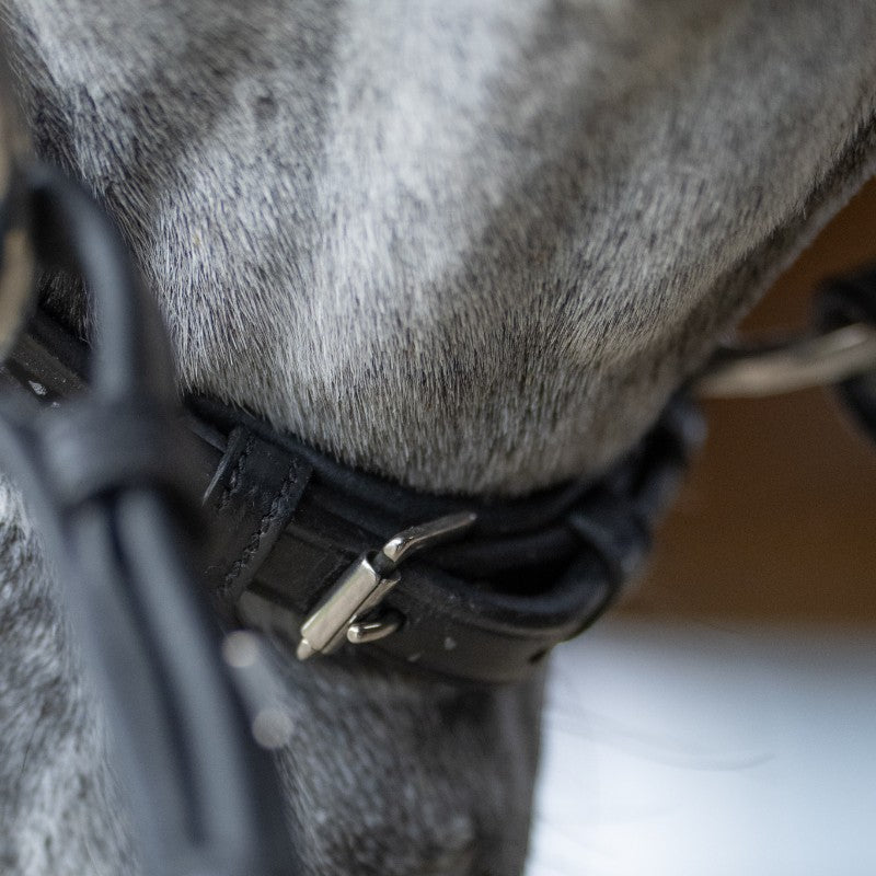 Jump'In - Bridon muserolle allemande Evolution noir