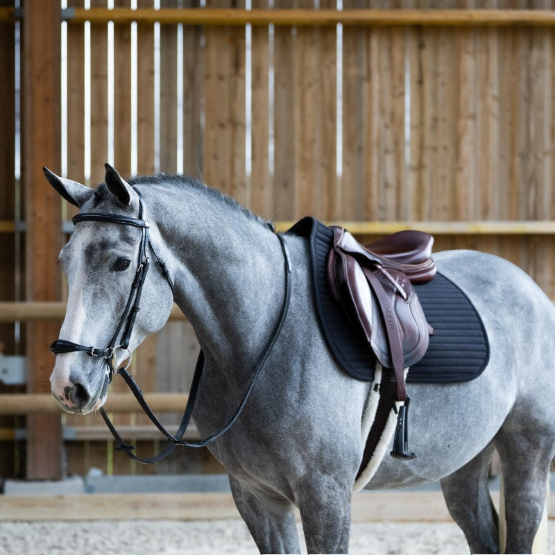 Jump'In - Bridon muserolle allemande Evolution noir