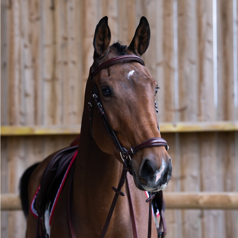 Jump'In - Bridon muserolle allemande Evolution noisette