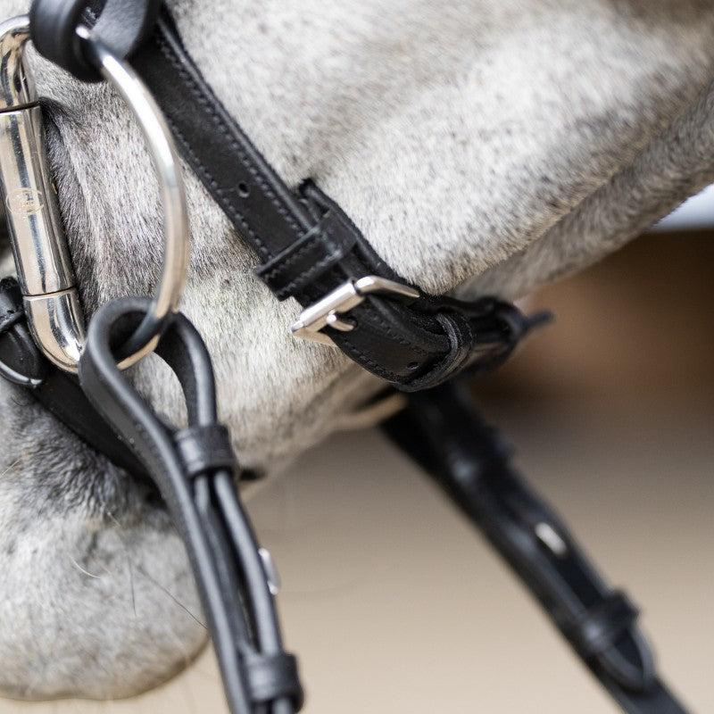 Jump'In - Bridon muserolle combinée Evolution noir