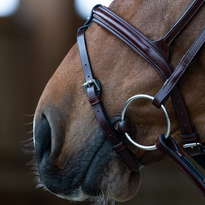 Jump'In - Bridon muserolle combinée Evolution noisette