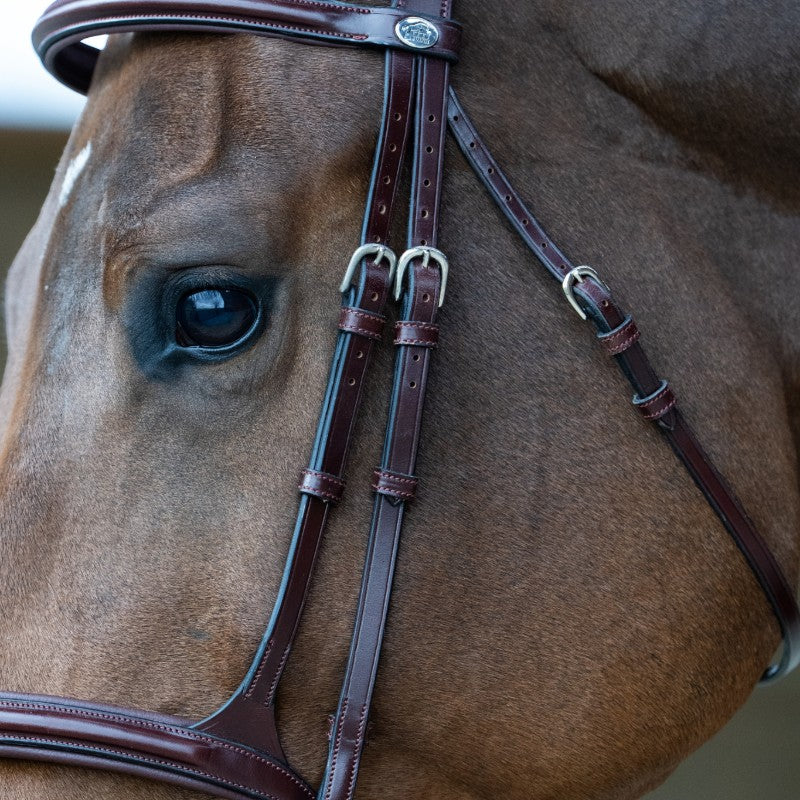 Jump'In - Bridon muserolle combinée Evolution noisette