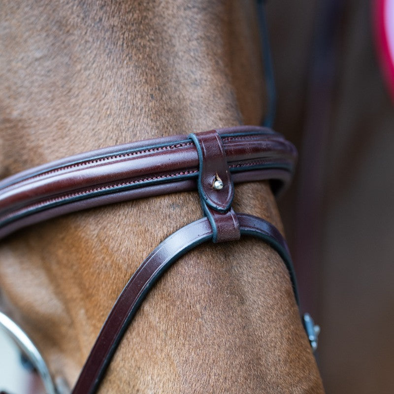 Jump'In - Bridon muserolle combinée Evolution noisette