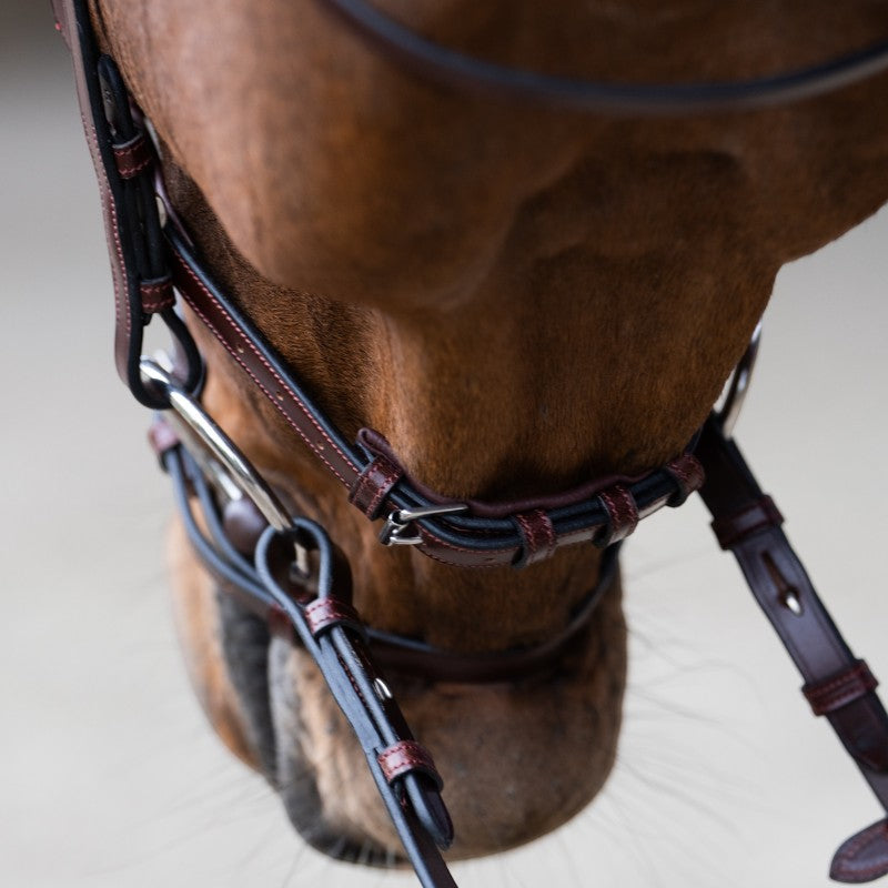 Jump'In - Bridon muserolle combinée Evolution noisette