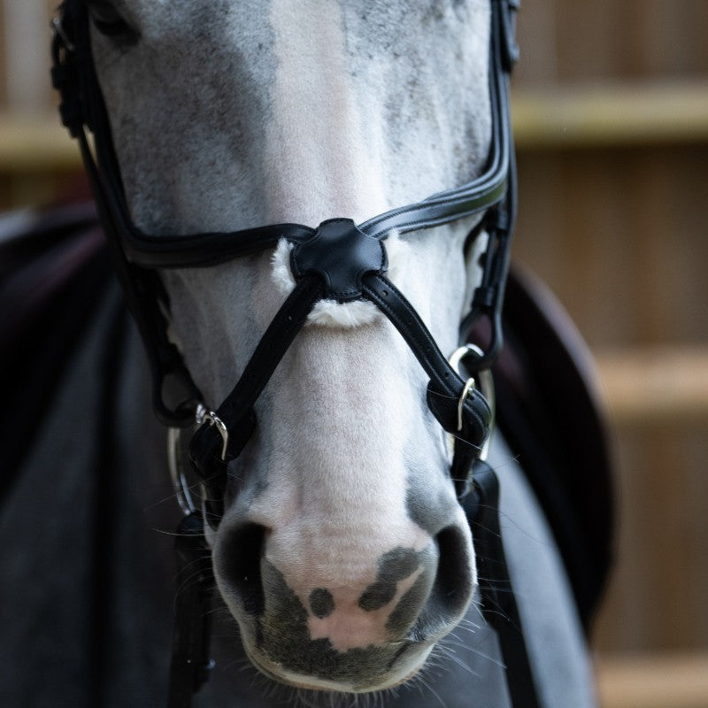 Jump'In - Bridon muserolle croisée Evolution noir