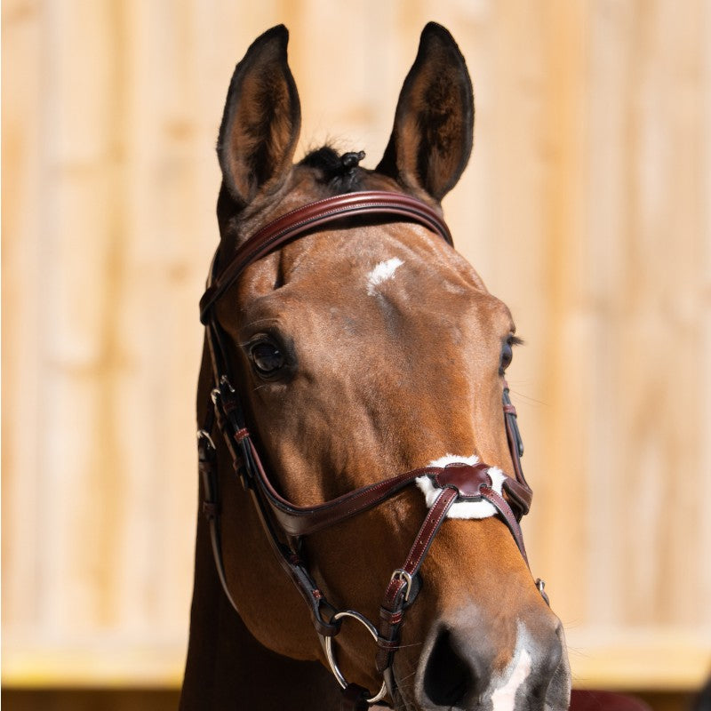 Jump'In - Bridon muserolle croisée Evolution noisette