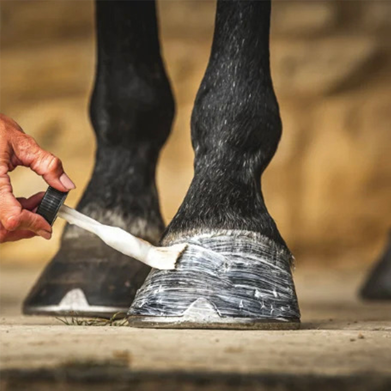 Carr & Day & Martin - Huile pour sabots Cornucrescine Daily Hoof moisturiser | - Ohlala