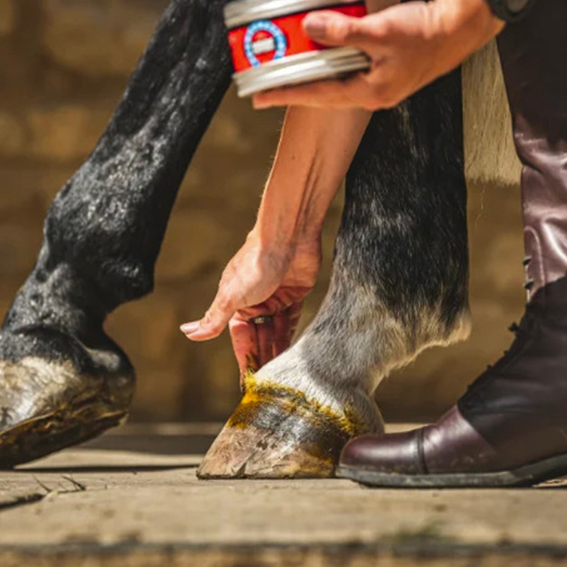 Carr & Day & Martin - Pommade pour sabots Cornucrescine | - Ohlala