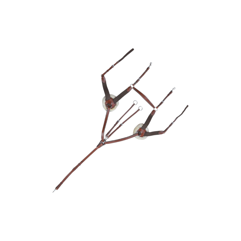 Lexington - Collier De Chasse 5 Points | - Ohlala