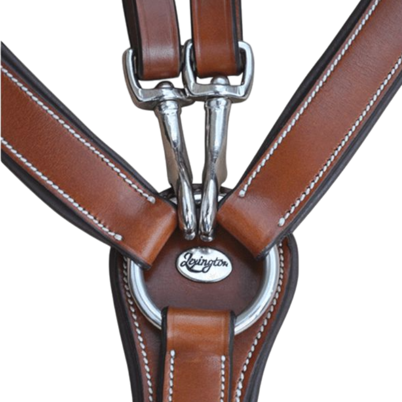 Lexington - Collier De Chasse 5 Points | - Ohlala