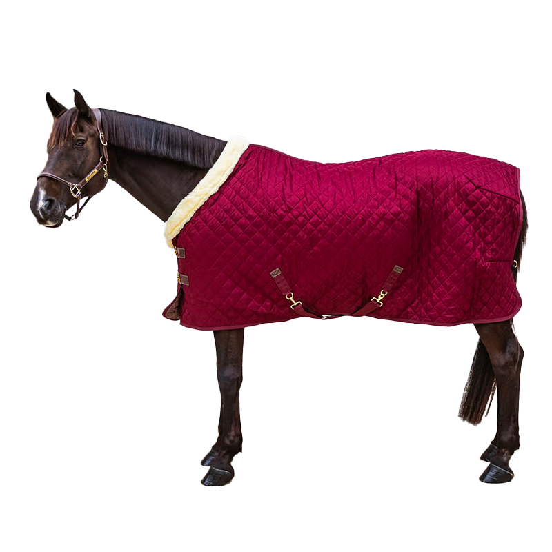 Kentucky Horsewear - Couverture de présentation bordeaux 160g