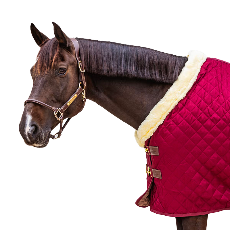Kentucky Horsewear - Couverture de présentation bordeaux 160g
