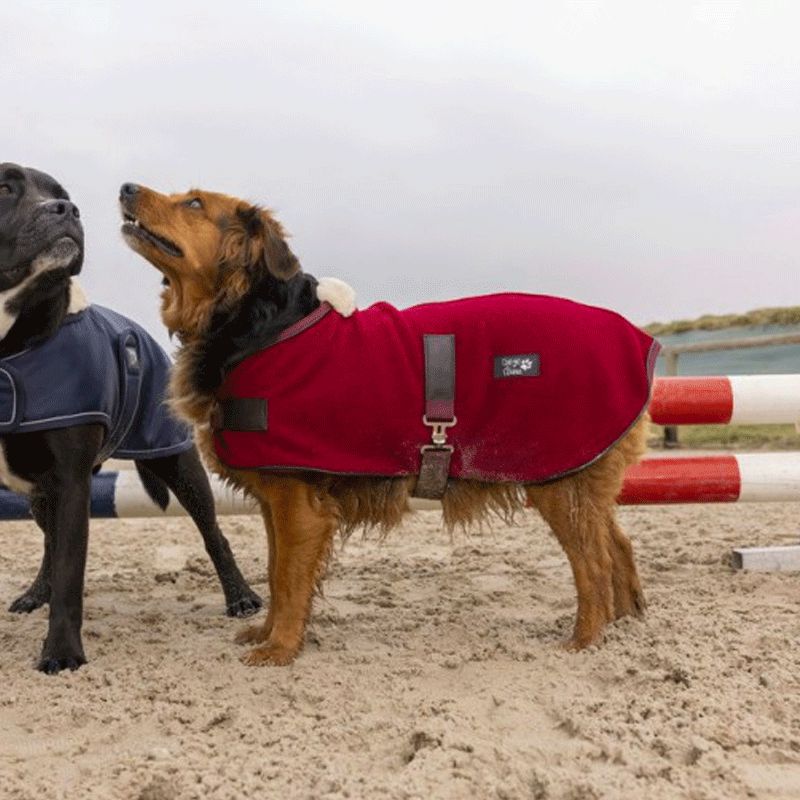 Diego & Louna - Couverture pour chien polaire Teddy bordeaux | - Ohlala