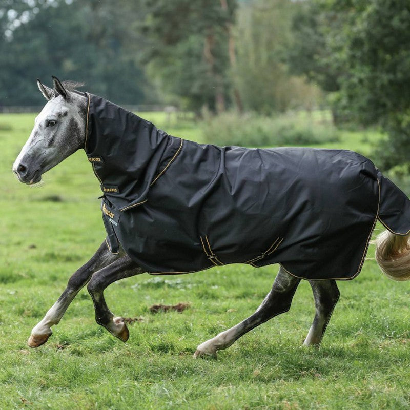 Bucas - Couverture d'extérieur Irish Turnout 150 noir/ gold 150g