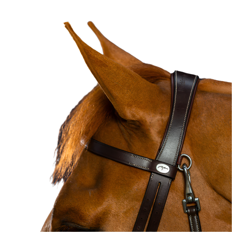 Dyon - Bridon cuir plat avec mousquetons Working by Dyon havane | - Ohlala